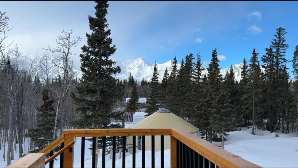 Mount Logan Ecolodge & Retreat Center Haines Junction Exterior foto